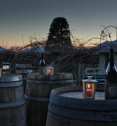 Cantine Angelinetta vini prodotti