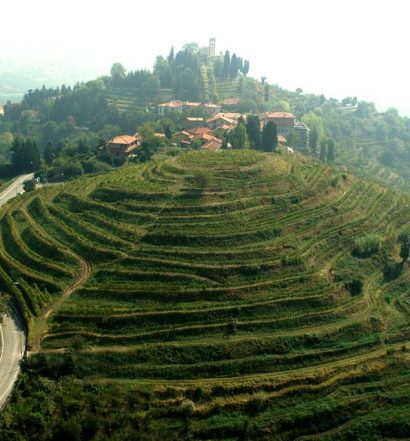 Terrazze di Montevecchia